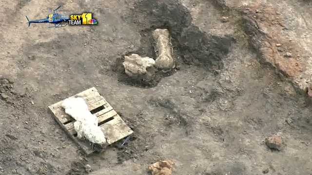 Paleontologists discover bone bed at Dinosaur Park - Vimarsana News