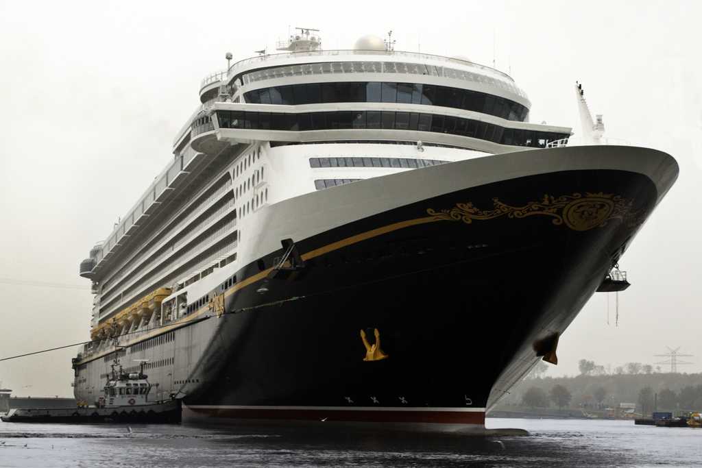 cruise ship hits dock