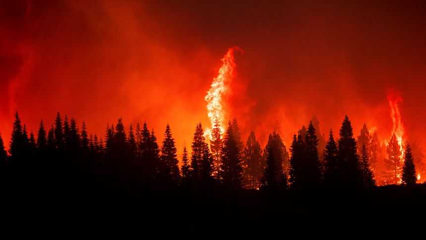 flames from the dixie fire crest a hill in lassen national forest, calif., near jonesville on monday, july 26, 2021. (ap photo/noah berger)