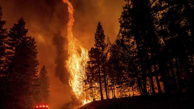 Ex-professor convicted in arson spree as crews fought Dixie Fire - Vimarsana News
