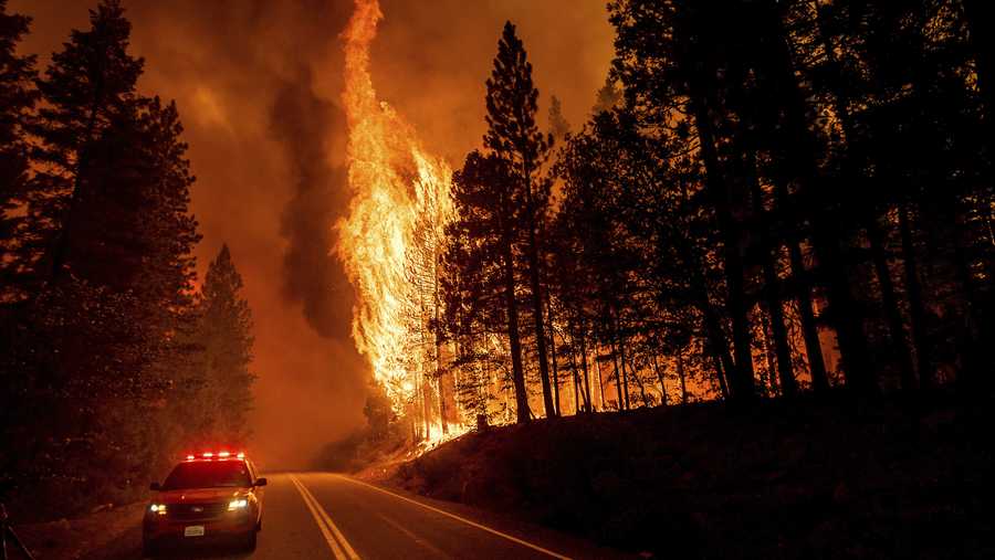 FILE - Flames leap from trees as the Dixie Fire jumps Highway 89 north of Greenville in Plumas County, Calif., on Aug. 3, 2021. A former college professor was indicted by a federal grand jury, Thursday, Nov. 18, 2021, on charges that he started four wildfires in Northern California earlier this year that threatened to trap firefighters as they battled a massive fire nearby, federal prosecutors said. Gary Stephen Maynard, 47, faces up to 20 years in prison and a $250,000 fine for each count of arson to federal property, the U.S. Attorney’s Office for the Eastern District of California said in a statement. (AP Photo/Noah Berger, File)