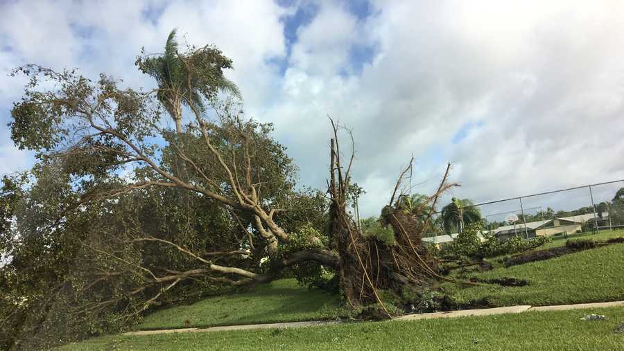 PHOTOS: Florida ravaged by Hurricane Irma