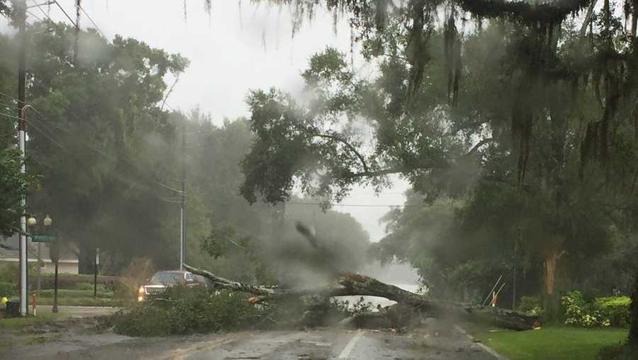 Photos Florida Ravaged By Hurricane Irma