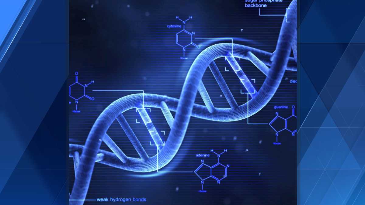 DNA Full Form in Hindi - डीएनए क्या होता हैं? पूरी जानकारी हिन्दी में -  Hindi Me Geyan