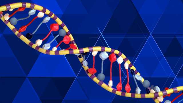 DNA test leads to arrest in 16-year-old cold case