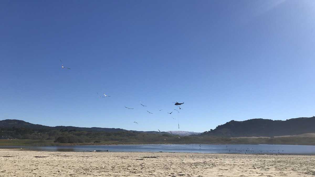 Helicopter helps build Carmel steelhead trout habitat