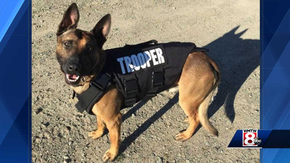 Maine police dog credited with finding 120+ grams of cocaine