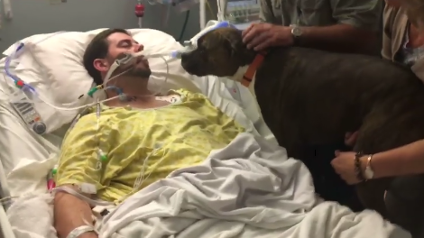 Woman shares heartbreaking video of dog saying goodbye to owner