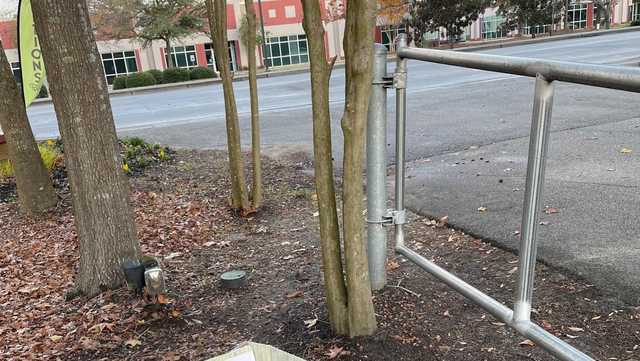 South Carolina: Dog left to die outside animal shelter - Vimarsana News