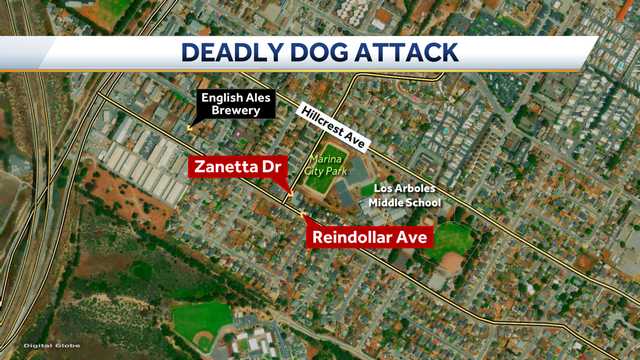 Monterey County woman uses pocket knife to break up dog fight - Vimarsana News
