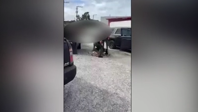 Mayor of Belle Glade, K9 expert criticize deputies' use of force during arrest - Vimarsana News