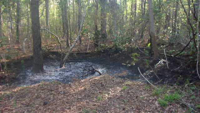 Dog burned alive in Awendaw 