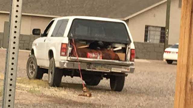 Police: Man dragged dog tied to the back of his truck
