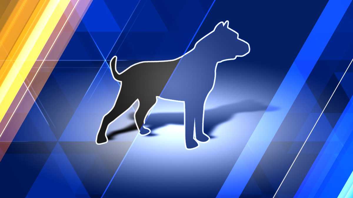 Dog Leash Laws Recommended For Baxter Woods Park