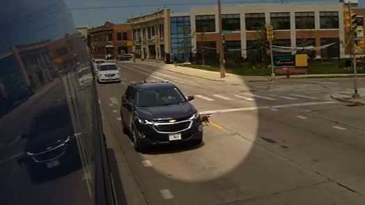 Dog saved from getting hit, Milwaukee bus driver is the hero - Vimarsana News