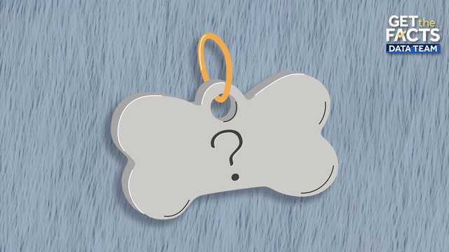 Move over, Fido! These are the most popular dog names