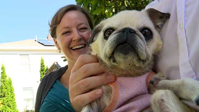 Maine photographer offers free photos of pets late in life - Vimarsana News