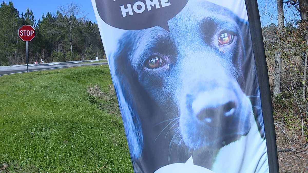 Beaufort County has waited 50 years for this new animal shelter. Here's  what it will offer