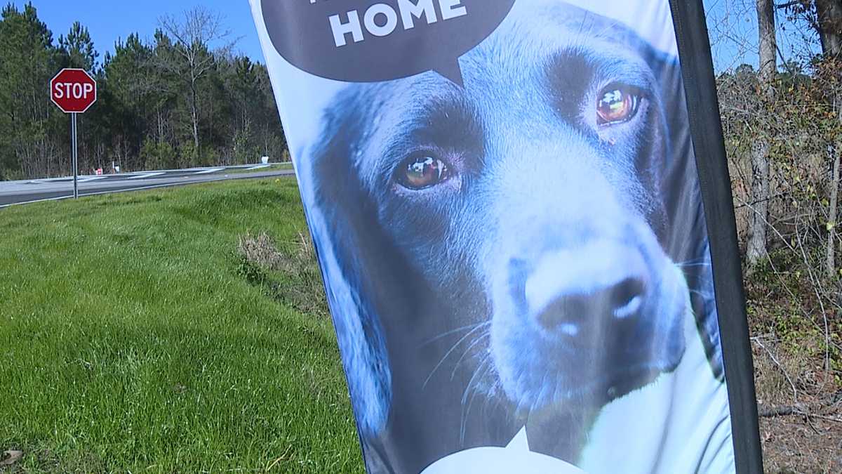 Beaufort County has waited 50 years for this new animal shelter. Here's what it will offer Beaufort County has waited 50 years for this new animal shelter. Here's what it will offer