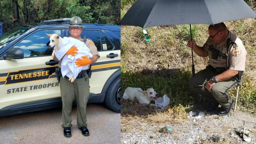 Tennessee State Highway Patrol trooper rescues dog