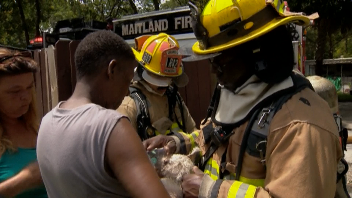 Firefighters use oxygen mask to save dog found in Orlando fire