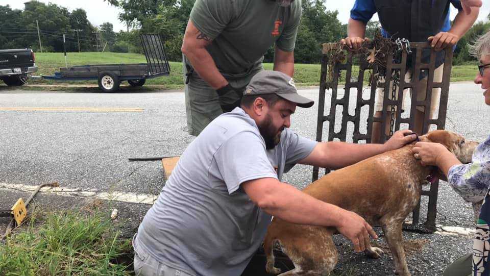Upstate animal control officer rescues dog from storm drain