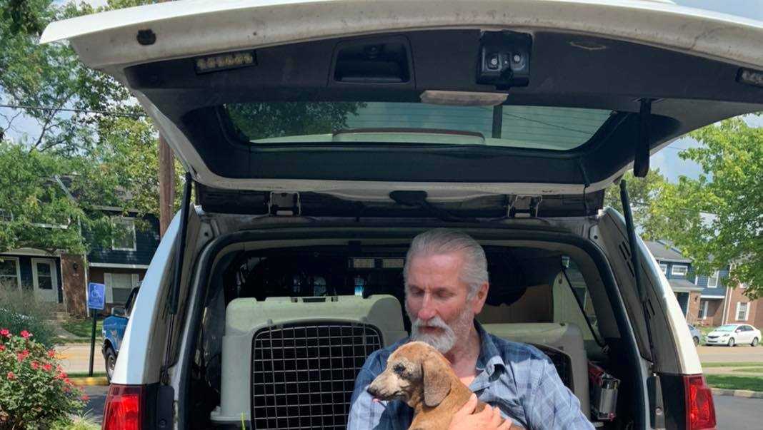 Good Samaritan locates dog after man's car stolen with dog inside in ...