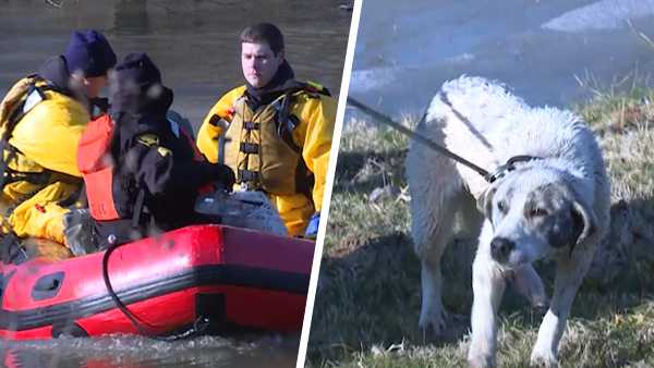 Crews rescue dog swept away by Ohio River floodwaters