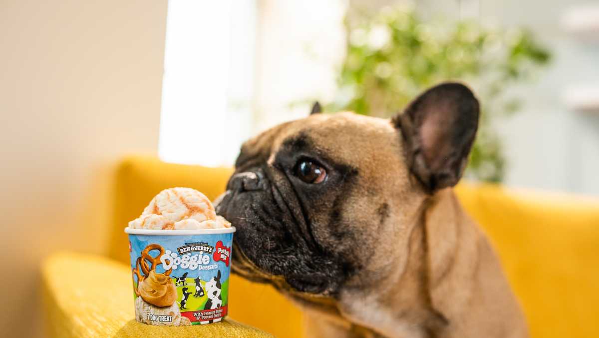Bone appétit Ben & Jerry's is now making dog treats