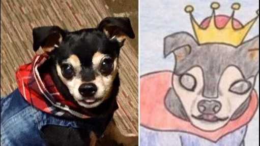 Brockton animal shelter will turn your pets into 'bad' hand-drawn greeting cards Brockton animal shelter will turn your pets into 'bad' hand-drawn greeting cards