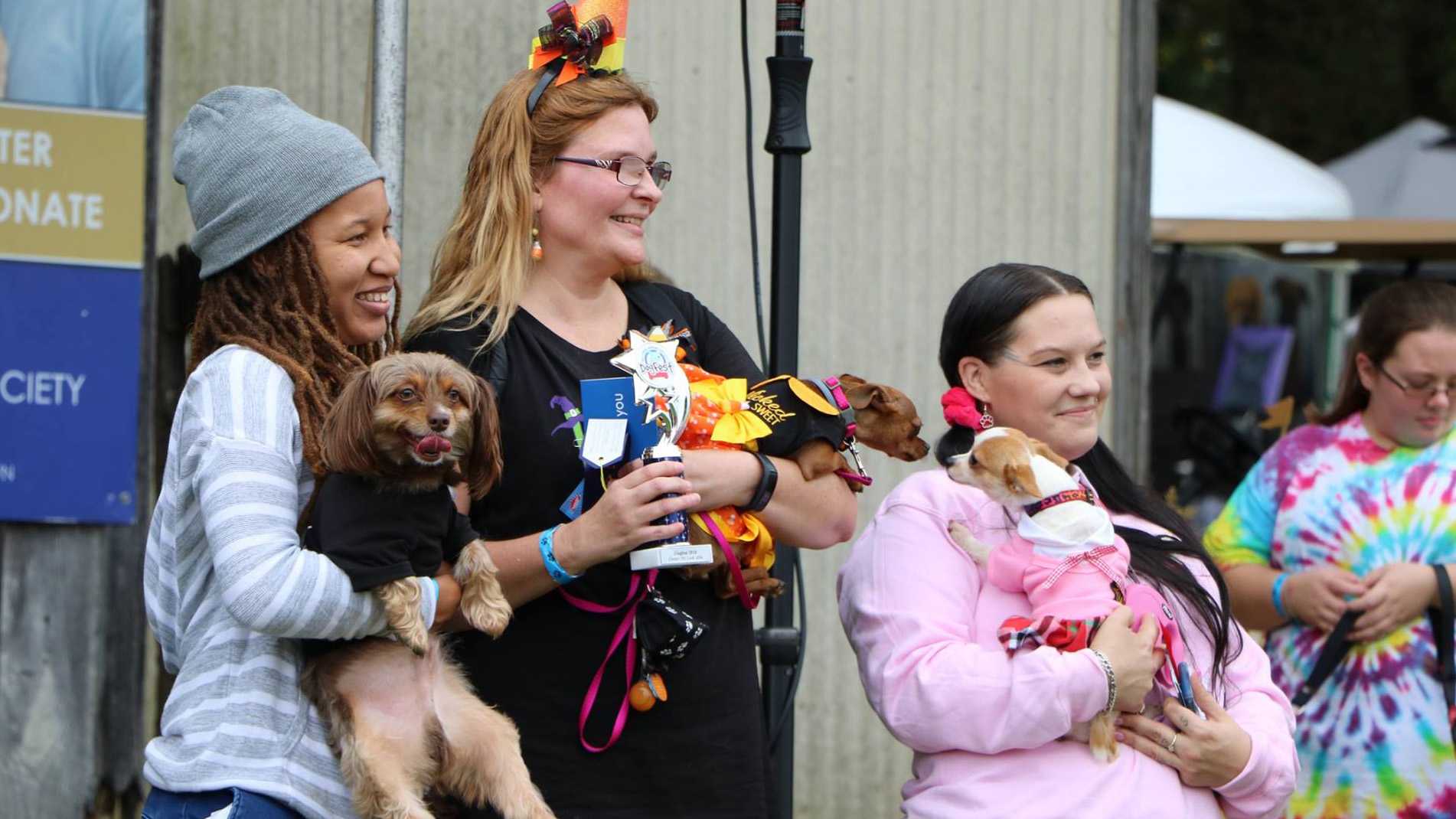 Baltimore Humane Society's Dogfest In Photos