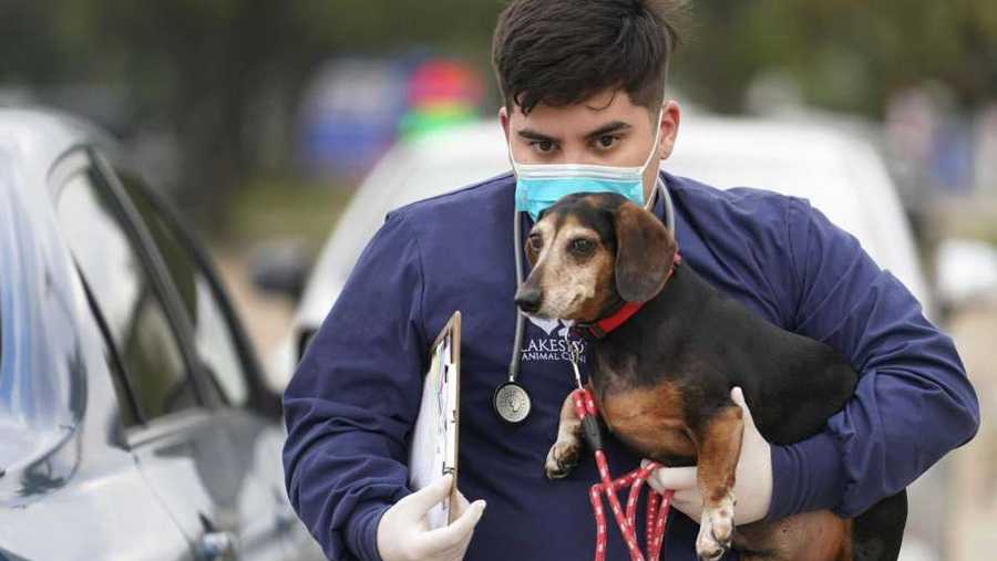 Shawn Smith, vet tech, takes a dog named Lucky from its owner’s vehicle into Lakeside Animal Clinic, 2501 S. Kirkwood Rd., for an exam Tuesday, March 24, 2020, in Houston.