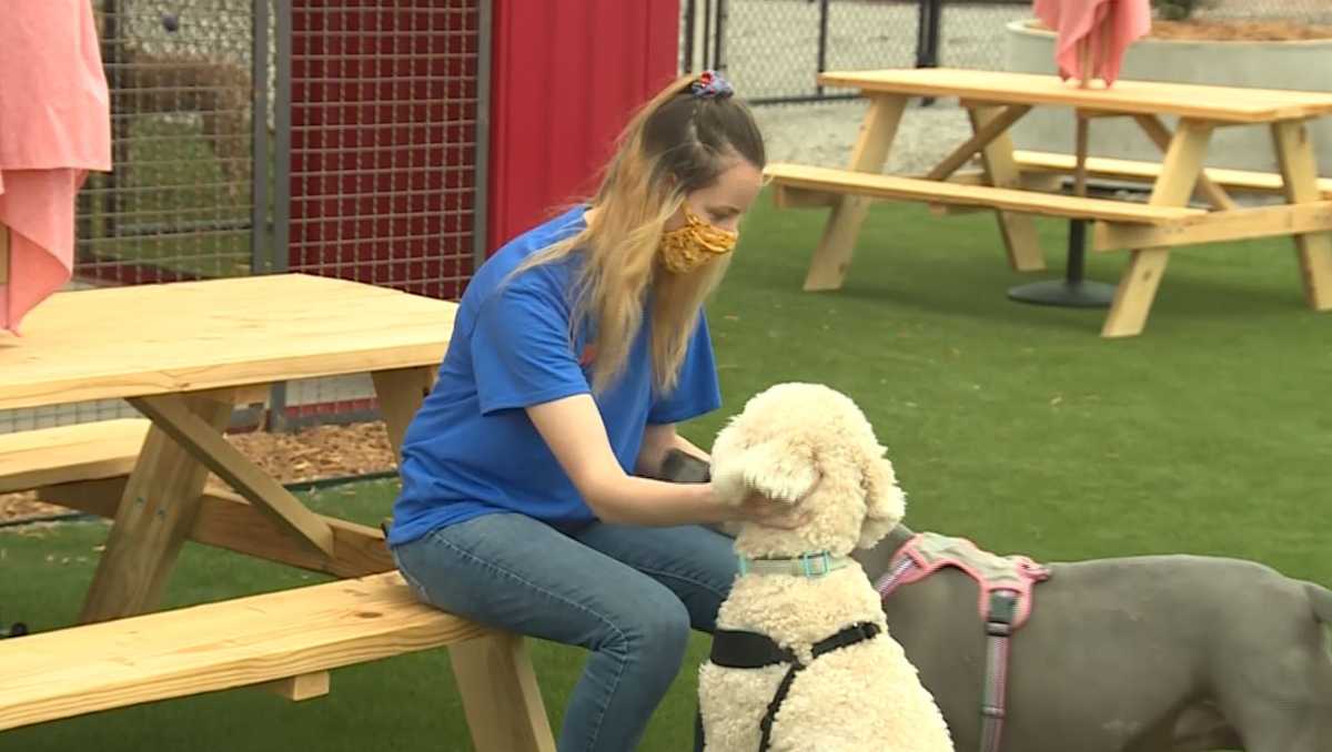 OKC DOG PARK, RESTAURANT AND BAR Dog park/restaurant opens Monday in