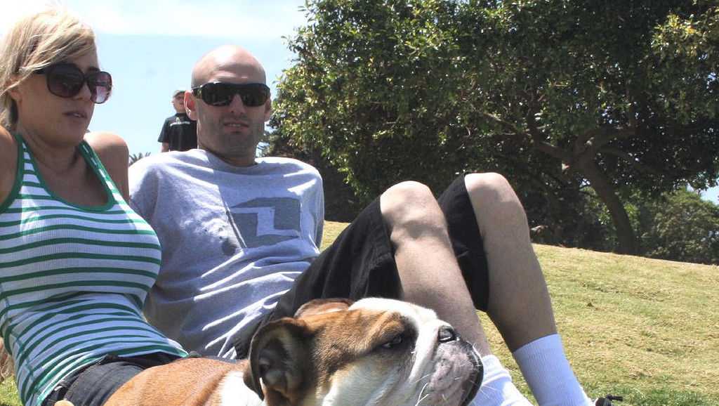 Dog breeds most likely to raise homeowners insurance