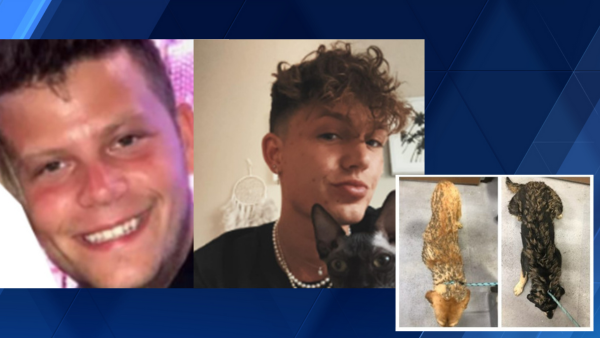 Louisville police looking for 2 more suspects after 8 dogs found covered in feces - Vimarsana News
