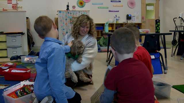 Therapy dogs lending a paw in the classroom - Vimarsana News