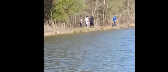 video&#x20;shows&#x20;person&#x20;apparently&#x20;throw&#x20;dog&#x20;into&#x20;lake&#x20;russell