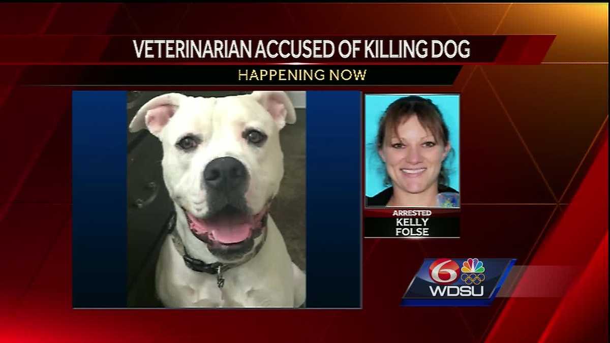 Veterinarian accused of shooting, killing JP dog for barking too much
