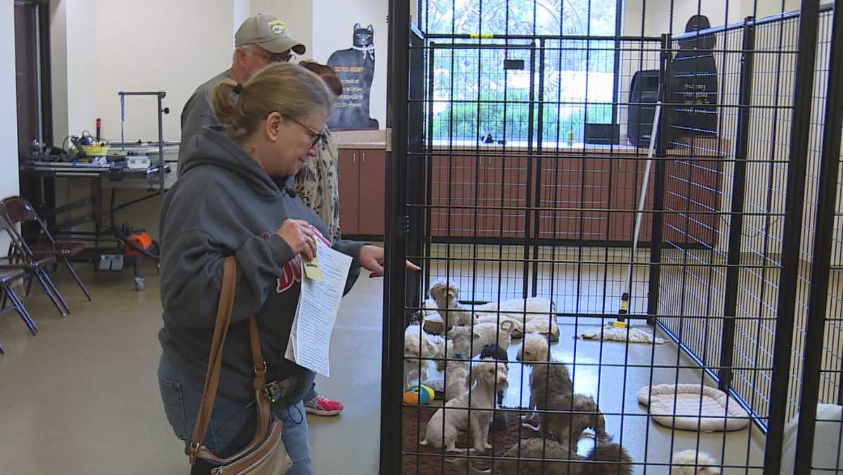 20 of 100+ dogs rescued from Warren County dog hoarding home adopted