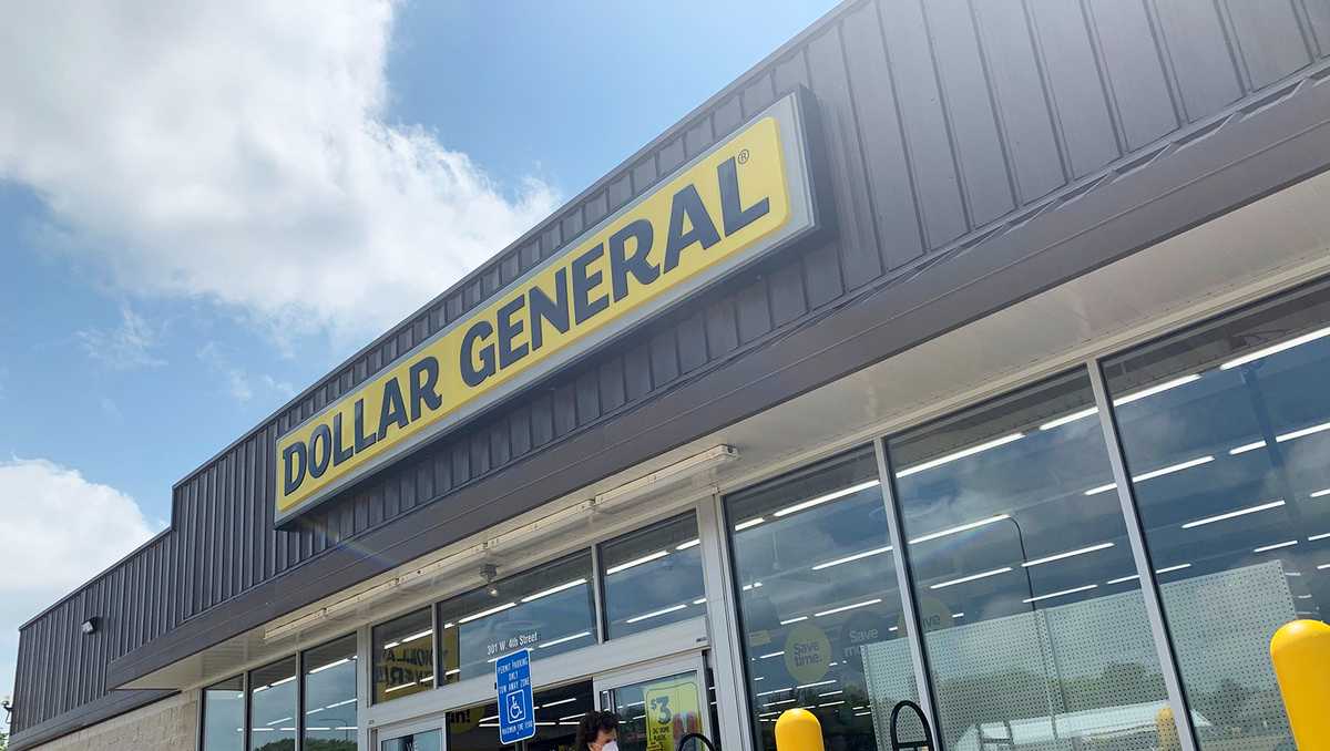Dollar stores make up almost half of all new stores opening this year