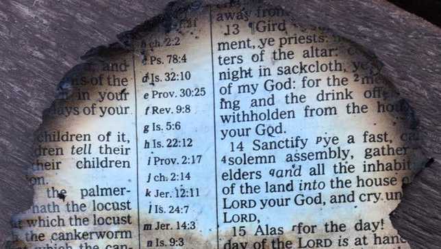 photo-of-burned-bible-passage-found-at-dollywood-goes-viral