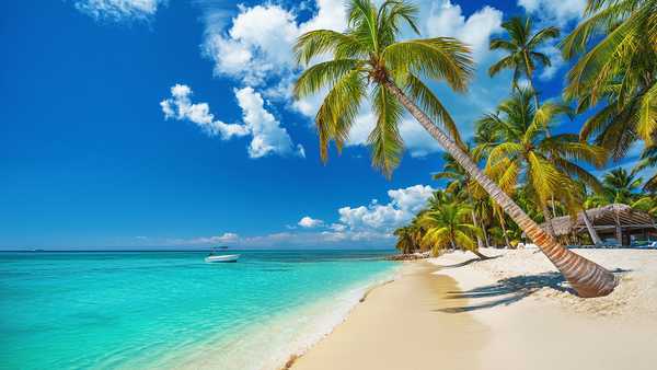 Tropical beach in Punta Cana, Dominican Republic