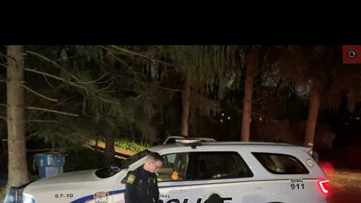 Christmas donkey found safe in Chester County - Vimarsana News