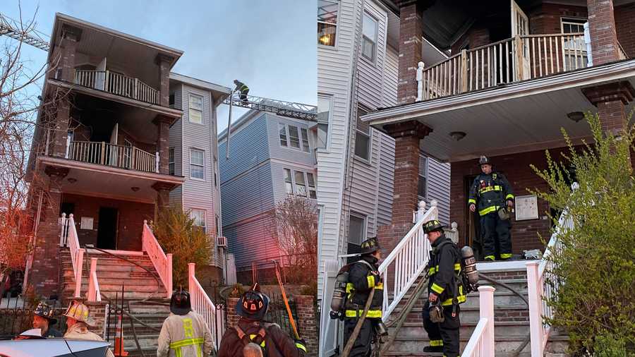 5 residents, 5 dogs displaced after early morning fire in Boston's