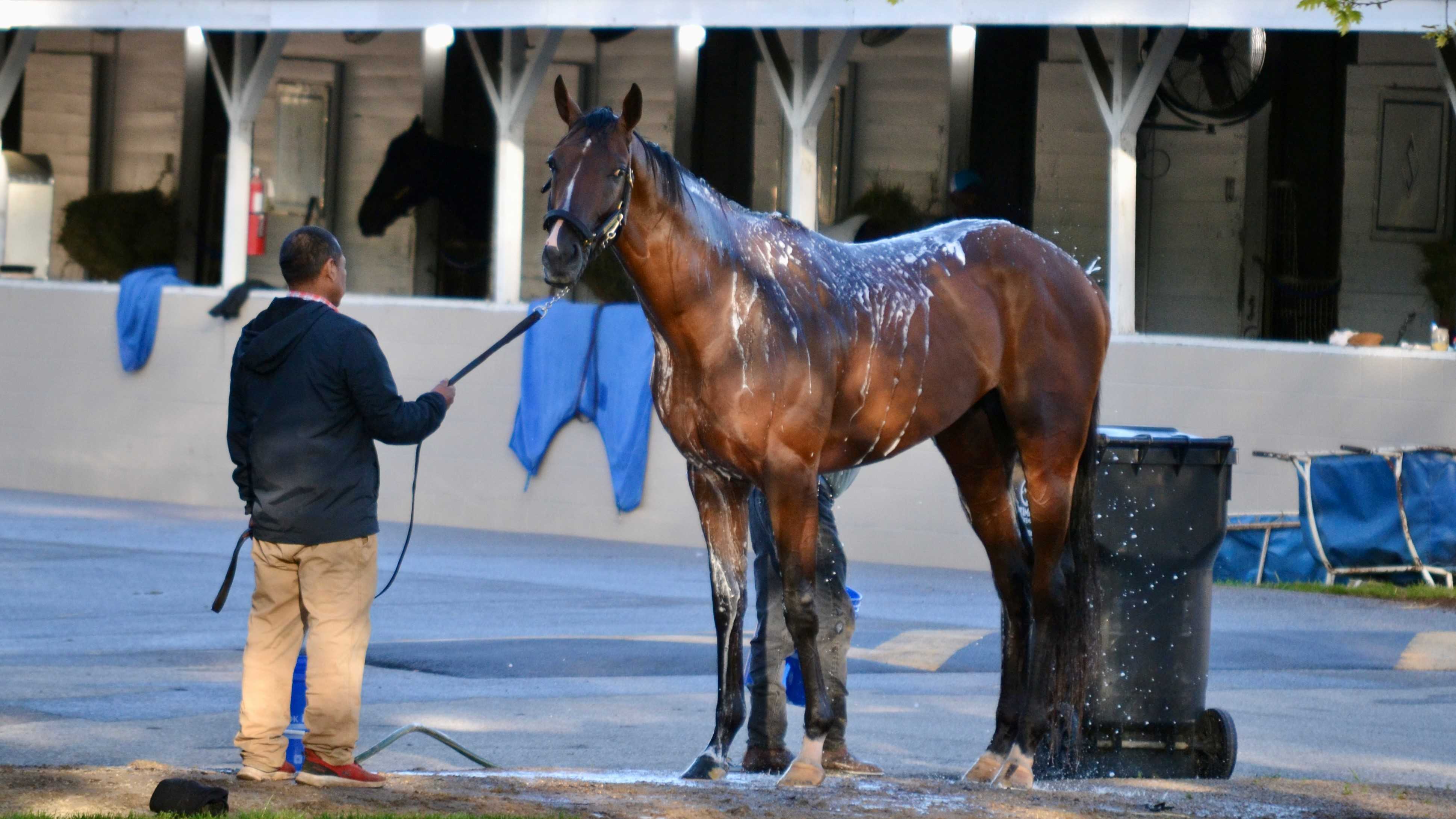 Kentucky Derby 150 notebook: Thursday, May 2 - Vimarsana News