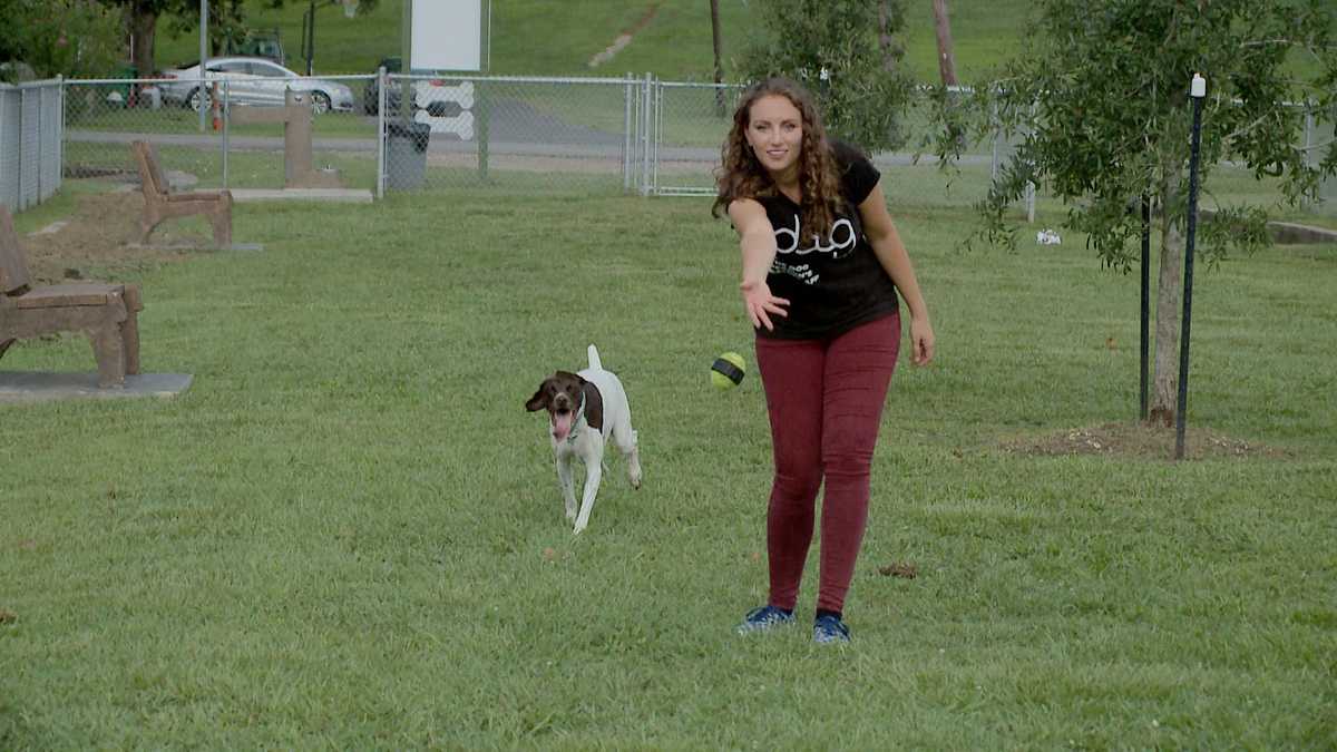 Dog lovers ‘Dig’ pet friendly dating app developed in Gretna