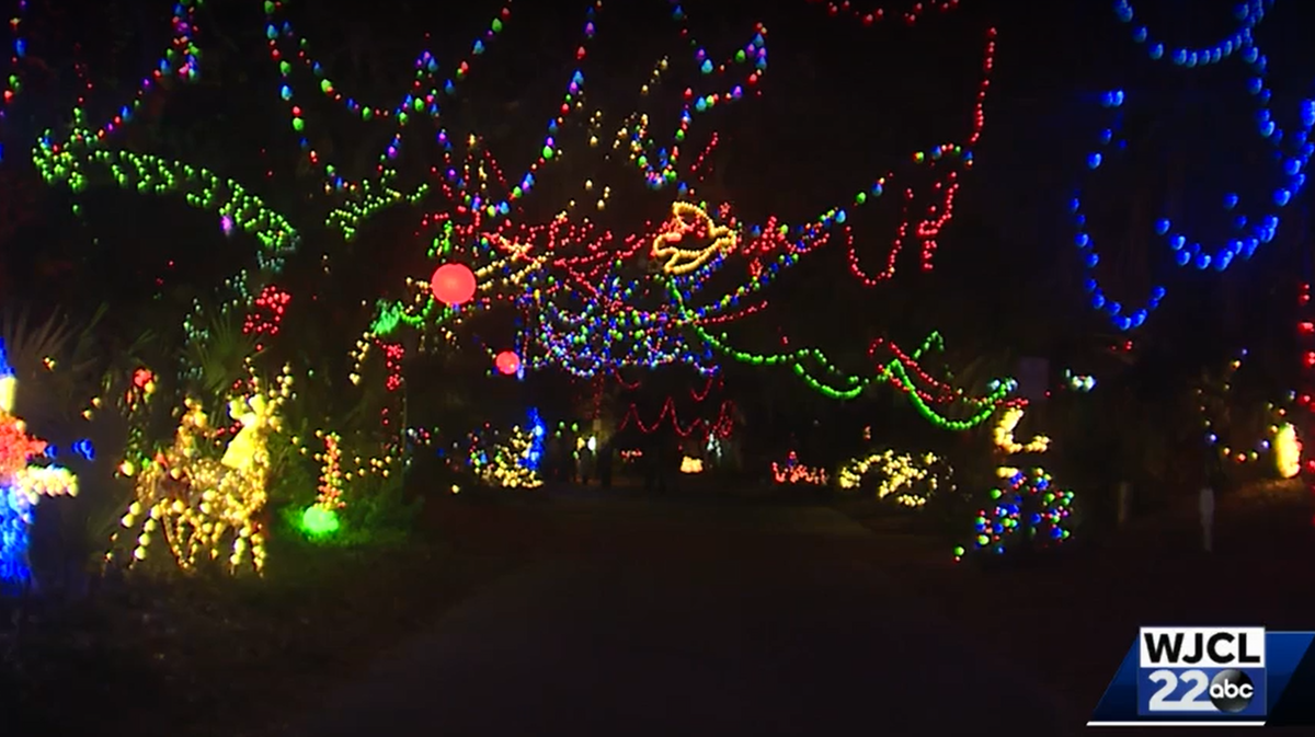 Hilton Head: Holiday lights return to Dove Street after 11 years