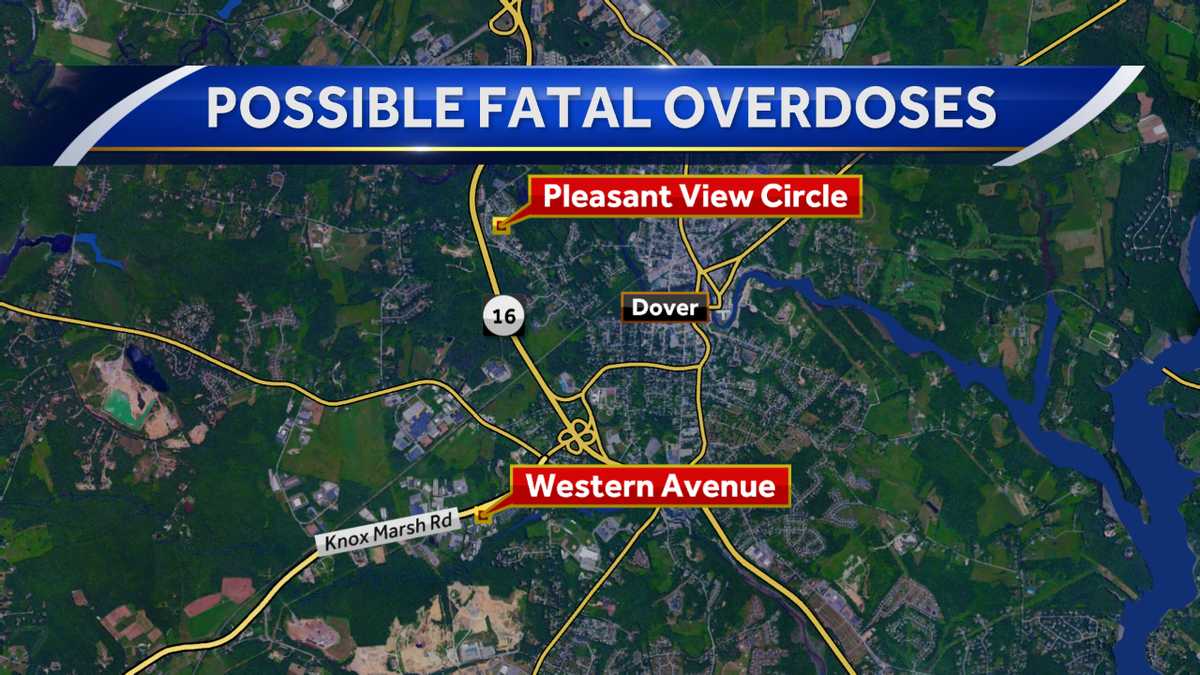 Police investigating two possible drug deaths in Dover