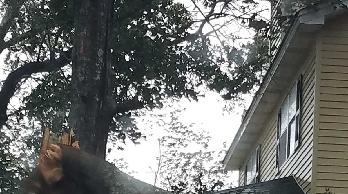 Upstate man dies in fall from ladder at his home, coroner says