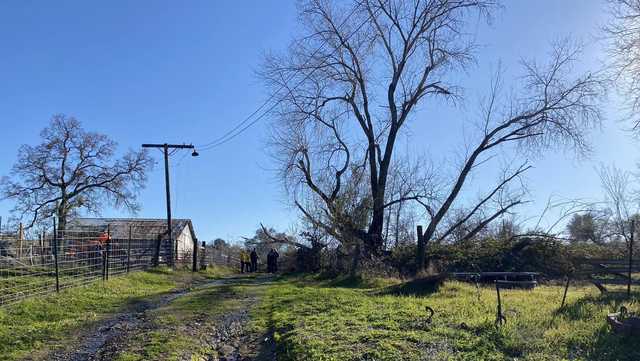 Tree falls, kills person in Placer County, officials say - Vimarsana News